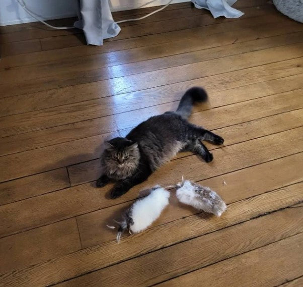 Rabbit Fur Cat Kicker