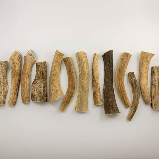 natural dog chew toy