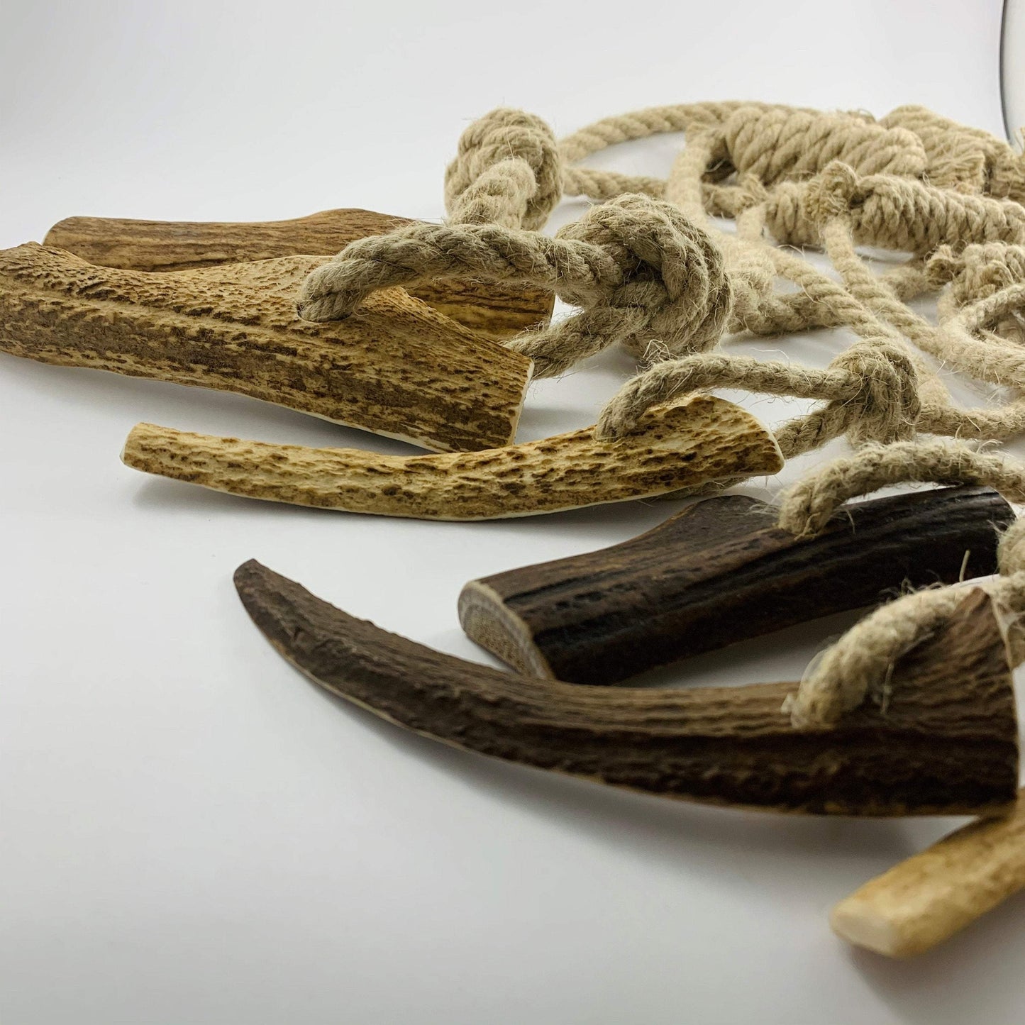 Nutrient rich and natural dog toys and chews