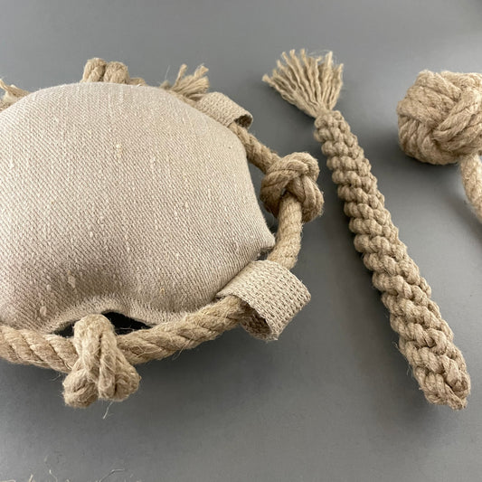 Chew-Tug-Fetch Set