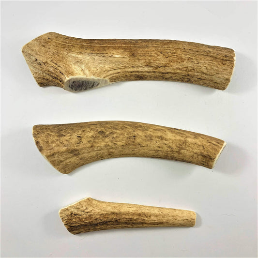 Dog chew treat from natural deer antlers