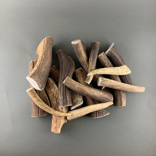 dog chews deer antler